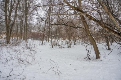 Look no further for your future building site or tranquil - photo 5
