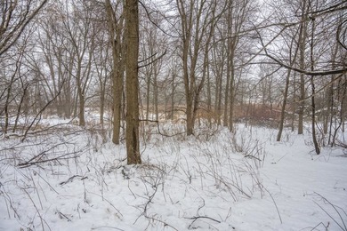 Look no further for your future building site or tranquil - photo 6