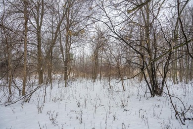 Look no further for your future building site or tranquil - photo 7