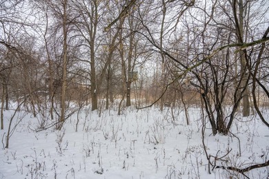 Look no further for your future building site or tranquil - photo 8