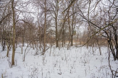 Look no further for your future building site or tranquil - photo 9