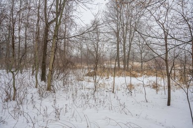 Look no further for your future building site or tranquil - photo 10