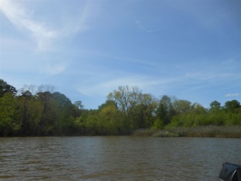 840 Acre Lot with 158.97 feet of waterfront available at - Lake Lot For Sale in Hemphill, Texas