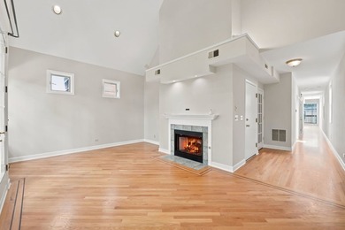 Sun-drenched duplex-up penthouse in the heart of Lakeview - photo 4