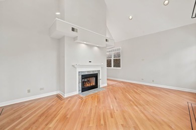 Sun-drenched duplex-up penthouse in the heart of Lakeview - photo 5
