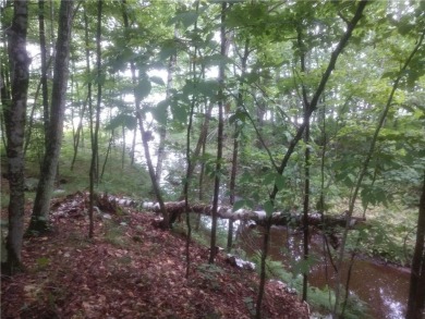 Lake Acreage For Sale in Stone Lake, Wisconsin