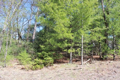 2 Wooded Lots with mix of trees located just a short walk to - photo 2