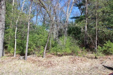 2 Wooded Lots with mix of trees located just a short walk to - photo 5