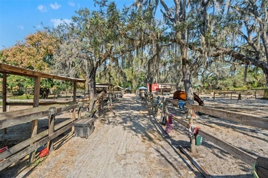 Two homes on this one-of-a-kind custom estate on 10 beautiful - photo 50