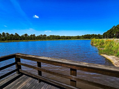 Hidden Lake Retreat consists of 2 large tracts of investment- - photo 12