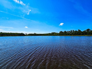 Hidden Lake Retreat consists of 2 large tracts of investment- - photo 15