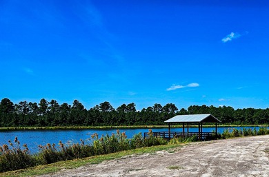 Hidden Lake Retreat consists of 2 large tracts of investment- - photo 16