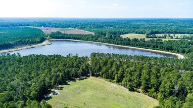 Hidden Lake Retreat consists of 2 large tracts of investment- - photo 18