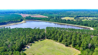 Hidden Lake Retreat consists of 2 large tracts of investment- - photo 19