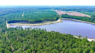 Hidden Lake Retreat consists of 2 large tracts of investment- - photo 22
