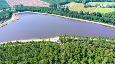 Hidden Lake Retreat consists of 2 large tracts of investment- - photo 26