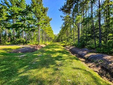 Hidden Lake Retreat consists of 2 large tracts of investment- - photo 27