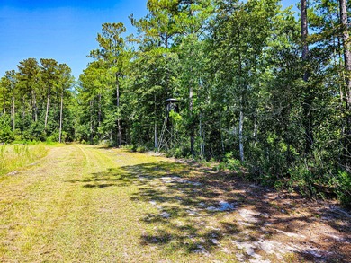 Hidden Lake Retreat consists of 2 large tracts of investment- - photo 28