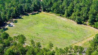 Hidden Lake Retreat consists of 2 large tracts of investment- - photo 29