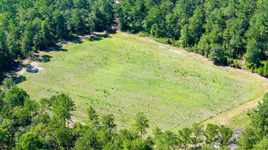 Hidden Lake Retreat consists of 2 large tracts of investment- - photo 30