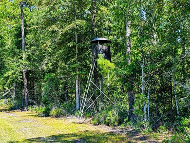 Hidden Lake Retreat consists of 2 large tracts of investment- - photo 31