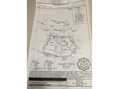 Land of Opportunity on sought-after Cedar Creek Lake! Rare - photo 3
