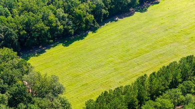 Hidden Lake Retreat consists of 2 large tracts of investment- - photo 42