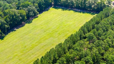 Hidden Lake Retreat consists of 2 large tracts of investment- - photo 43