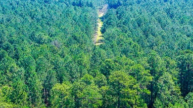 Hidden Lake Retreat consists of 2 large tracts of investment- - photo 44