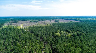 Hidden Lake Retreat consists of 2 large tracts of investment- - photo 45