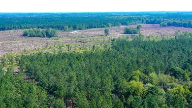 Hidden Lake Retreat consists of 2 large tracts of investment- - photo 46