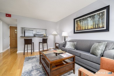 Stylish, impeccably maintained 1BR/1BA condo at The Biltmore - photo 7