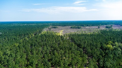 Hidden Lake Retreat consists of 2 large tracts of investment- - photo 48