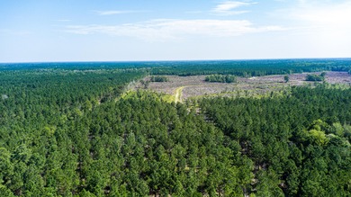 Hidden Lake Retreat consists of 2 large tracts of investment- - photo 49