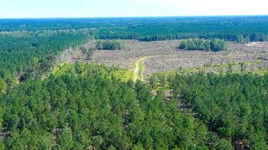 Hidden Lake Retreat consists of 2 large tracts of investment- - photo 50