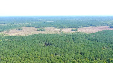 Hidden Lake Retreat consists of 2 large tracts of investment- - photo 51
