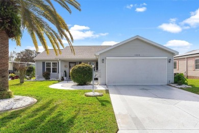 Lake Home Sale Pending in The Villages, Florida
