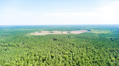 Hidden Lake Retreat consists of 2 large tracts of investment- - photo 52