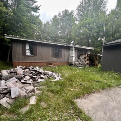 Lake Home For Sale in Shepherd, Michigan