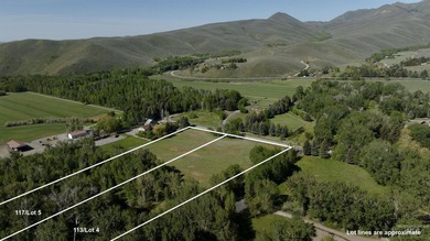 Explore this rare 14-acre riverfront property spanning both - photo 8