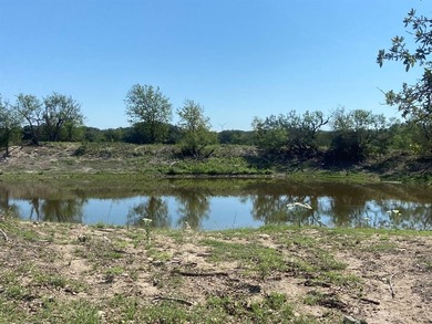 (private lake, pond, creek) Acreage For Sale in Goldthwaite Texas