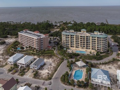 RARE PET-FRIENDLY BEACH, GULF VIEW + $4K BUYER CREDIT TOWARD - photo 4