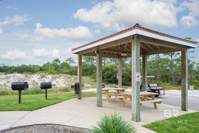 RARE PET-FRIENDLY BEACH, GULF VIEW + $4K BUYER CREDIT TOWARD - photo 10