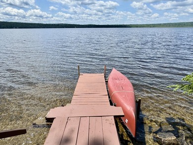 Enjoy lake life in this 3 BR 2 bath waterfront home on pristine - photo 27