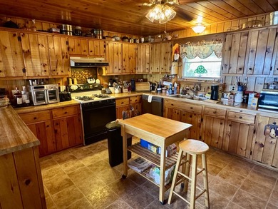 Enjoy lake life in this 3 BR 2 bath waterfront home on pristine - photo 46