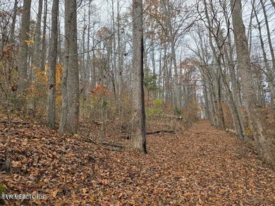 This property contains 28.25 acres +/-. A spring fed creek - photo 12