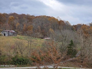 This property contains 28.25 acres +/-. A spring fed creek - photo 14