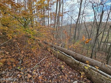 This property contains 28.25 acres +/-. A spring fed creek - photo 15