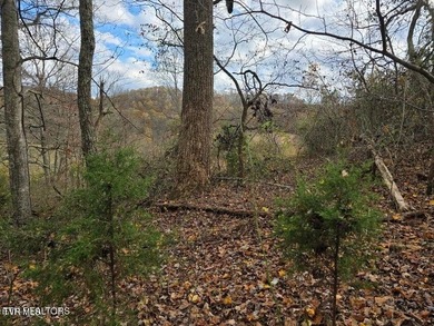 This property contains 28.25 acres +/-. A spring fed creek - photo 16