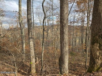 This property contains 28.25 acres +/-. A spring fed creek - photo 17
